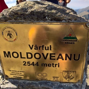 Medistik will help you get to the top